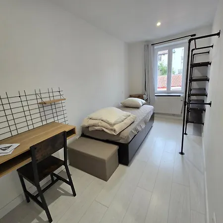 Entier 35m2 Avec Wifi - 2chambres - Renove - Hypercentre Foix