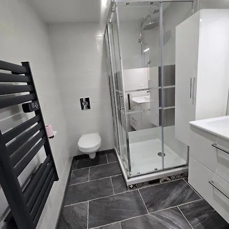 35m2 1chambre Et Salon Ou 2chambres Sans Salon - Centre Historique