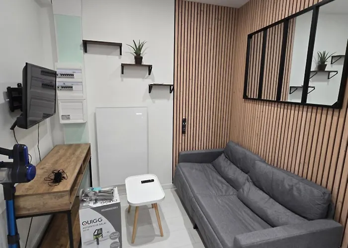 35m2 1er Ou 2eme Etage Avec Wifi - 2chambres - Renove - Hypercentre Foix
