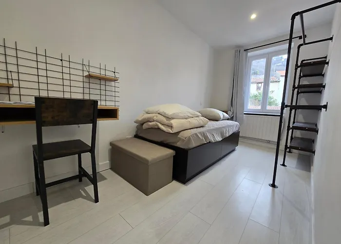 Apartament 35m2 1er Ou 2eme Etage Avec Wifi - 2chambres - Renove - Hypercentre Foix