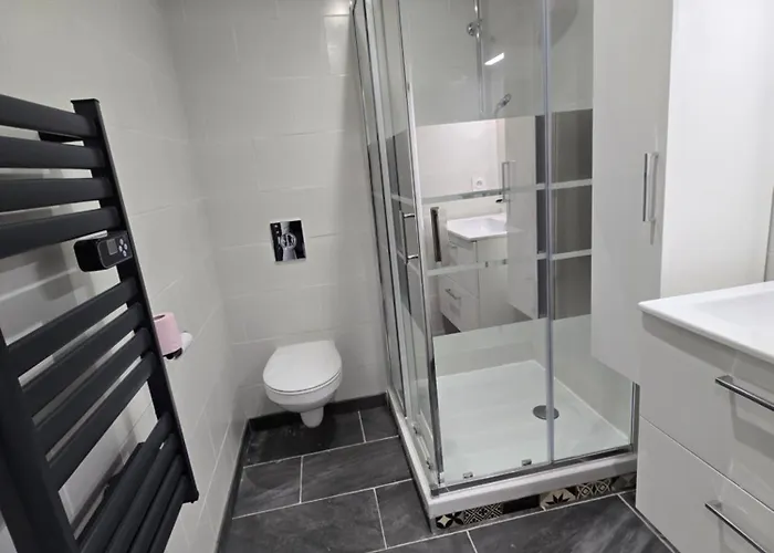 Entier 35m2 Avec Wifi - 2chambres - Renove - Hypercentre