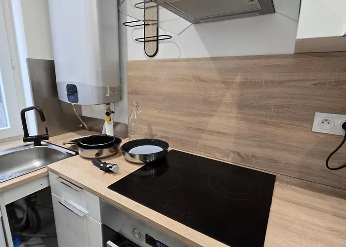 Entier 35m2 Avec Wifi - 2chambres - Renove - Hypercentre * Foix