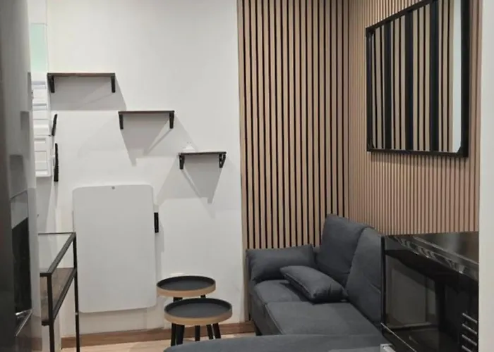 35m2 1er Ou 2eme Etage Avec Wifi - 2chambres - Renove - Hypercentre Foix